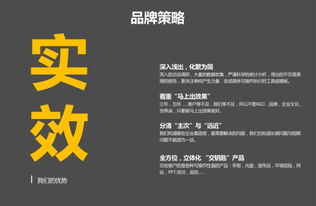 从愿景到现实 大型公关活动策划与执行的全流程艺术